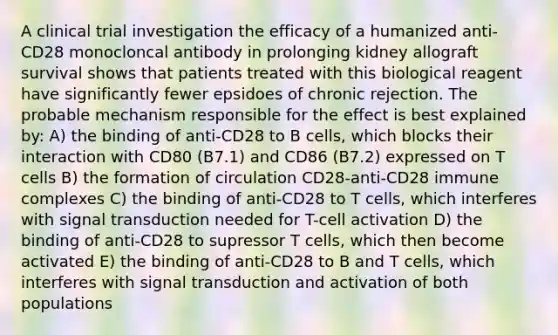 A clinical trial investigation the efficacy of a humanized anti-CD28 monocloncal antibody in prolonging kidney allograft survival shows that patients treated with this biological reagent have significantly fewer epsidoes of chronic rejection. The probable mechanism responsible for the effect is best explained by: A) the binding of anti-CD28 to B cells, which blocks their interaction with CD80 (B7.1) and CD86 (B7.2) expressed on T cells B) the formation of circulation CD28-anti-CD28 immune complexes C) the binding of anti-CD28 to T cells, which interferes with signal transduction needed for T-cell activation D) the binding of anti-CD28 to supressor T cells, which then become activated E) the binding of anti-CD28 to B and T cells, which interferes with signal transduction and activation of both populations