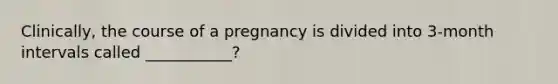 Clinically, the course of a pregnancy is divided into 3-month intervals called ___________?