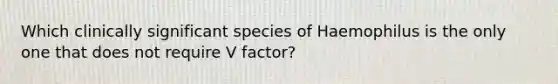 Which clinically significant species of Haemophilus is the only one that does not require V factor?