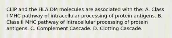 CLIP and the HLA-DM molecules are associated with the: A. Class I MHC pathway of intracellular processing of protein antigens. B. Class II MHC pathway of intracellular processing of protein antigens. C. Complement Cascade. D. Clotting Cascade.