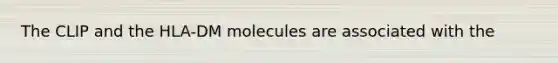 The CLIP and the HLA-DM molecules are associated with the