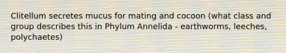 Clitellum secretes mucus for mating and cocoon (what class and group describes this in Phylum Annelida - earthworms, leeches, polychaetes)