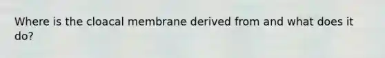 Where is the cloacal membrane derived from and what does it do?