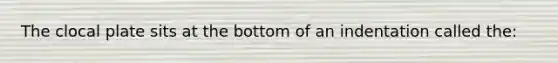 The clocal plate sits at the bottom of an indentation called the: