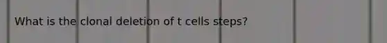 What is the clonal deletion of t cells steps?