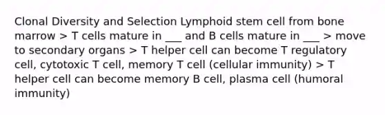 Clonal Diversity and Selection Lymphoid stem cell from bone marrow > T cells mature in ___ and B cells mature in ___ > move to secondary organs > T helper cell can become T regulatory cell, cytotoxic T cell, memory T cell (cellular immunity) > T helper cell can become memory B cell, plasma cell (humoral immunity)