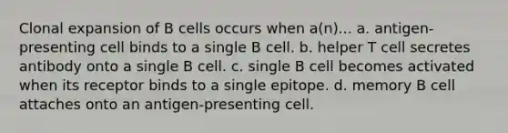 Clonal expansion of B cells occurs when a(n)... a. antigen-presenting cell binds to a single B cell. b. helper T cell secretes antibody onto a single B cell. c. single B cell becomes activated when its receptor binds to a single epitope. d. memory B cell attaches onto an antigen-presenting cell.