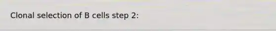 Clonal selection of B cells step 2: