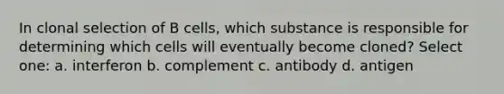 In clonal selection of B cells, which substance is responsible for determining which cells will eventually become cloned? Select one: a. interferon b. complement c. antibody d. antigen