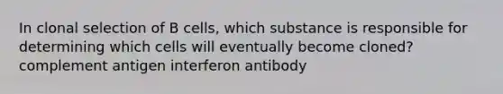 In clonal selection of B cells, which substance is responsible for determining which cells will eventually become cloned? complement antigen interferon antibody