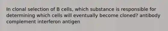 In clonal selection of B cells, which substance is responsible for determining which cells will eventually become cloned? antibody complement interferon antigen