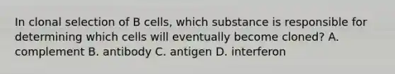 In clonal selection of B cells, which substance is responsible for determining which cells will eventually become cloned? A. complement B. antibody C. antigen D. interferon