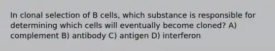 In clonal selection of B cells, which substance is responsible for determining which cells will eventually become cloned? A) complement B) antibody C) antigen D) interferon