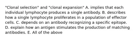 "Clonal selection" and "clonal expansion" A. implies that each individual lymphocyte produces a single antibody. B. describes how a single lymphocyte proliferates in a population of effector cells. C. depends on an antibody recognizing a specific epitope. D. explain how an antigen stimulates the production of matching antibodies. E. All of the above