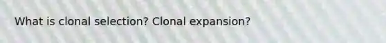 What is clonal selection? Clonal expansion?