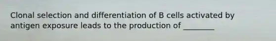 Clonal selection and differentiation of B cells activated by antigen exposure leads to the production of ________