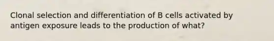 Clonal selection and differentiation of B cells activated by antigen exposure leads to the production of what?