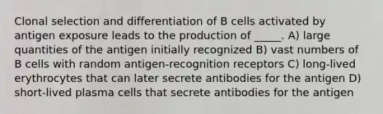 Clonal selection and differentiation of B cells activated by antigen exposure leads to the production of _____. A) large quantities of the antigen initially recognized B) vast numbers of B cells with random antigen-recognition receptors C) long-lived erythrocytes that can later secrete antibodies for the antigen D) short-lived plasma cells that secrete antibodies for the antigen