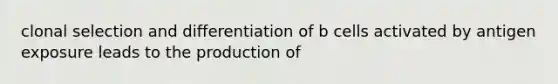clonal selection and differentiation of b cells activated by antigen exposure leads to the production of