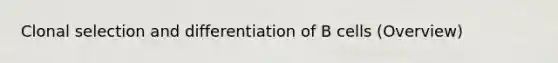 Clonal selection and differentiation of B cells (Overview)