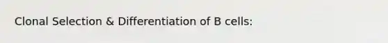 Clonal Selection & Differentiation of B cells: