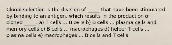 Clonal selection is the division of _____ that have been stimulated by binding to an antigen, which results in the production of cloned _____. a) T cells ... B cells b) B cells ... plasma cells and memory cells c) B cells ... macrophages d) helper T cells ... plasma cells e) macrophages ... B cells and T cells