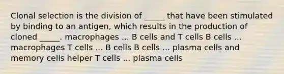 Clonal selection is the division of _____ that have been stimulated by binding to an antigen, which results in the production of cloned _____. macrophages ... B cells and T cells B cells ... macrophages T cells ... B cells B cells ... plasma cells and memory cells helper T cells ... plasma cells