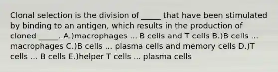 Clonal selection is the division of _____ that have been stimulated by binding to an antigen, which results in the production of cloned _____. A.)macrophages ... B cells and T cells B.)B cells ... macrophages C.)B cells ... plasma cells and memory cells D.)T cells ... B cells E.)helper T cells ... plasma cells