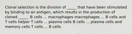 Clonal selection is the division of _____ that have been stimulated by binding to an antigen, which results in the production of cloned _____. B cells ... macrophages macrophages ... B cells and T cells helper T cells ... plasma cells B cells ... plasma cells and memory cells T cells ... B cells