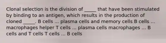 Clonal selection is the division of _____ that have been stimulated by binding to an antigen, which results in the production of cloned _____. B cells ... plasma cells and memory cells B cells ... macrophages helper T cells ... plasma cells macrophages ... B cells and T cells T cells ... B cells