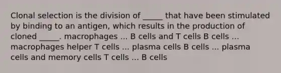 Clonal selection is the division of _____ that have been stimulated by binding to an antigen, which results in the production of cloned _____. macrophages ... B cells and T cells B cells ... macrophages helper T cells ... plasma cells B cells ... plasma cells and memory cells T cells ... B cells