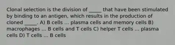 Clonal selection is the division of _____ that have been stimulated by binding to an antigen, which results in the production of cloned _____. A) B cells ... plasma cells and memory cells B) macrophages ... B cells and T cells C) helper T cells ... plasma cells D) T cells ... B cells