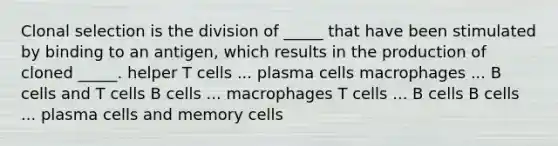 Clonal selection is the division of _____ that have been stimulated by binding to an antigen, which results in the production of cloned _____. helper T cells ... plasma cells macrophages ... B cells and T cells B cells ... macrophages T cells ... B cells B cells ... plasma cells and memory cells