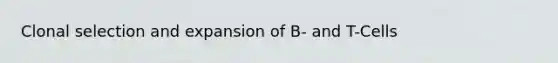 Clonal selection and expansion of B- and T-Cells