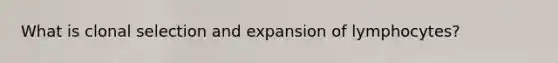 What is clonal selection and expansion of lymphocytes?