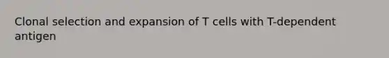 Clonal selection and expansion of T cells with T-dependent antigen