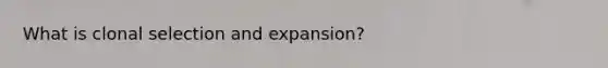 What is clonal selection and expansion?