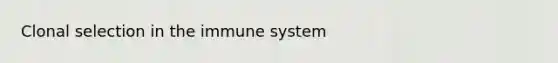 Clonal selection in the immune system