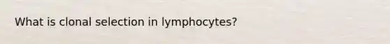 What is clonal selection in lymphocytes?