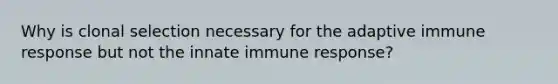 Why is clonal selection necessary for the adaptive immune response but not the innate immune response?