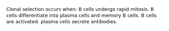 Clonal selection occurs when: B cells undergo rapid mitosis. B cells differentiate into plasma cells and memory B cells. B cells are activated. plasma cells secrete antibodies.