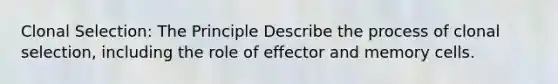 Clonal Selection: The Principle Describe the process of clonal selection, including the role of effector and memory cells.