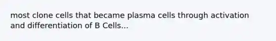 most clone cells that became plasma cells through activation and differentiation of B Cells...