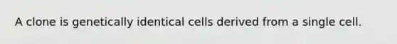 A clone is genetically identical cells derived from a single cell.