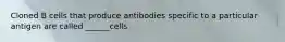 Cloned B cells that produce antibodies specific to a particular antigen are called ______cells