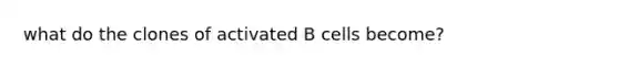 what do the clones of activated B cells become?