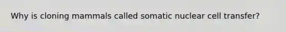 Why is cloning mammals called somatic nuclear cell transfer?