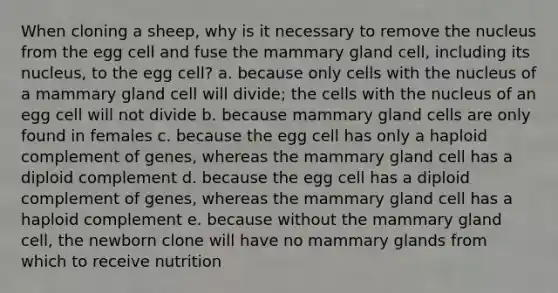 When cloning a sheep, why is it necessary to remove the nucleus from the egg cell and fuse the mammary gland cell, including its nucleus, to the egg cell? a. because only cells with the nucleus of a mammary gland cell will divide; the cells with the nucleus of an egg cell will not divide b. because mammary gland cells are only found in females c. because the egg cell has only a haploid complement of genes, whereas the mammary gland cell has a diploid complement d. because the egg cell has a diploid complement of genes, whereas the mammary gland cell has a haploid complement e. because without the mammary gland cell, the newborn clone will have no mammary glands from which to receive nutrition