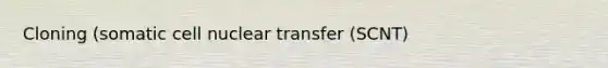 Cloning (somatic cell nuclear transfer (SCNT)