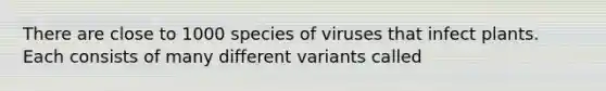 There are close to 1000 species of viruses that infect plants. Each consists of many different variants called